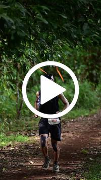 BIB:  <button type="button" onclick="openModal(27287802)" class="btn btn-primary btn-sm float-right" data-toggle="modal" data-target=".modal-high-quality">
                <i class="fa fa-download"></i> Download
                </button>